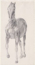 Finished study for 'The Seventh Anatomical Table of the Muscles ... of the Horse', 1756. Creator: George Stubbs.