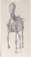 Finished study for 'The Second Anatomical Table of the Skeleton of the Horse', 1756. Creator: George Stubbs.