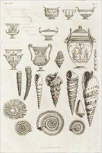 Different shells thought to inspire the forms of Etruscan vases, 1769.  Creator: Giovanni Battista Piranesi.