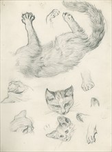 Studies of a cat for 'Playmates', c1897. Creator: Henry Hugh Armstead.