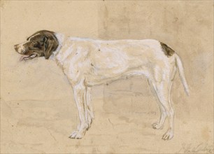 Juno the dog, 1819. Creator: John Frederick Lewis.