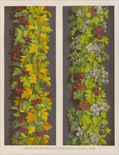 Hawthorn flower and fruit from Nature arranged for an ornamental border, 1850.  Creator: Ludwig Gruner.