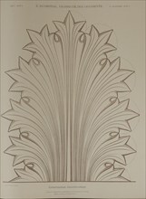 Greek acanthus leaf, 1874.  Creator: Unknown.