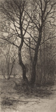 Nymphenburg Palace Garden, near Munich, 1884. Creator: Lewis Henry Meakin.