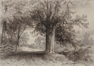 Landscape, 1877. Creator: James David Smillie.