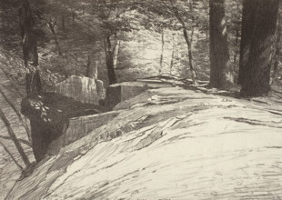 Rocks and Trees, 1923. Creator: Bolton Coit Brown.