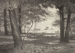 Edge of the Woods, c1920s. Creator: Bolton Coit Brown.