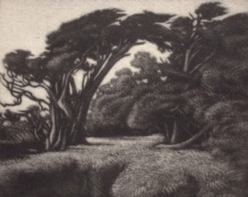 Cypress Bower, 1920. Creator: Ernest Haskell.