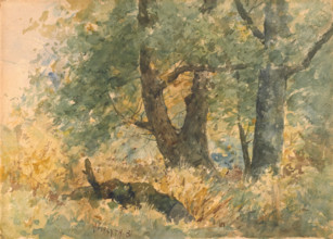 Woodland Landscape, 1881. Creator: William Forsyth.