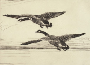 Two Black Geese, 1931. Creator: Frank Weston Benson.