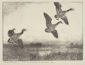 Three Geese, 1936. Creator: Frank Weston Benson.