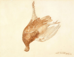 Dead Grouse, 1815-1820. Creator: JMW Turner.