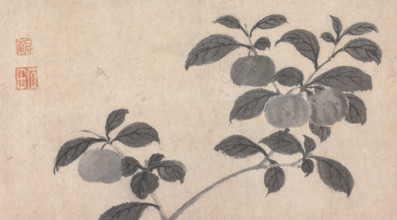 Branch of Fruit Bearing Tree, c16th century. Creator: Unknown.