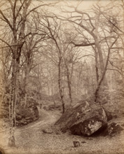 Fontainebleau, about 1870. Creator: Charles Victor Famin.