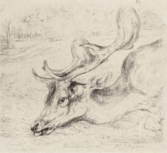 Wounded Deer, 1824. Creator: John Frederick Lewis.