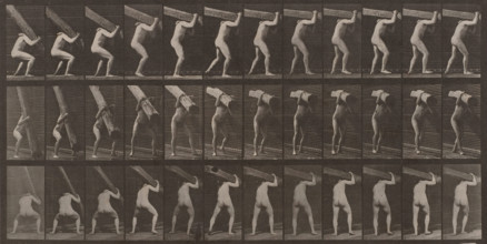 Man Lifting Beam: Plate 383, 1887. Creator: Eadweard J Muybridge.