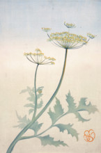 Queen Anne's Lace, about 1908. Creator: Wilhelmina Seegmiller.