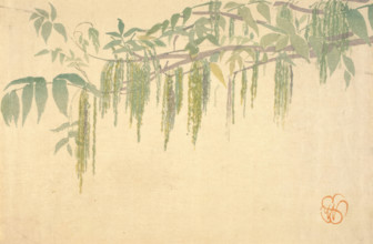 Wisteria, about 1908. Creator: Wilhelmina Seegmiller.