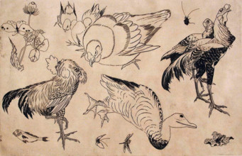 Roosters, Ducks, etc., 1866. Creators: Felix Bracquemond, Hokusai.