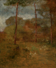 Orange Road, Tarpon Springs, about 1893. Creator: George Inness.