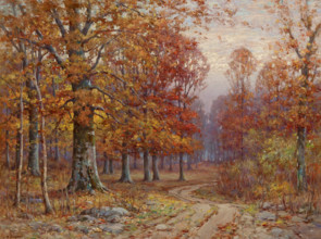 Woods Interior, date unknown. Creator: John Elwood Bundy.