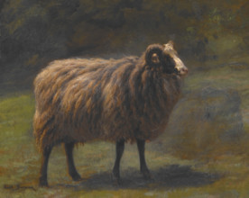 Ram, about 1845-1850. Creator: Rosa Bonheur.