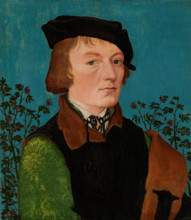 Portrait of a Man in Front of a Rose Hedge, 1512-1513. Creator: Hans Baldung.