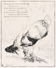 Le Coq (The Cock), 1882. Creator: Felix Bracquemond.