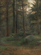 Interior of Coniferious Woods with Rocks, 1895-1900. Creator: Ludovit Cordak.