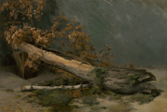 Study of Dry Tree, around 1894-1895. Creator: Ludovit Cordak.