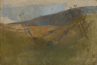 Landscapes with Thistles, 1878 - 1880. Creator: Ladislav Mednyanszky.