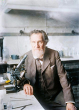 Elie Metchnikoff, between c1910 and c1915. Creator: Bain News Service.