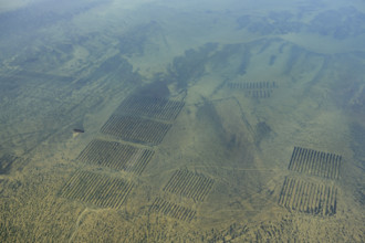 Oyster beds in Whitstable Bay, Kent, 2024. Creator: Damian Grady.