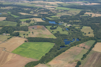 Newstead Abbey landscape park, Nottinghamshire, 2024. Creator: Robyn Andrews.