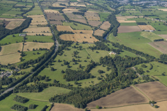 Rokeby Park landscape park, County Durham, 2024. Creator: Robyn Andrews.