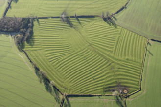 Ridge and furrow earthworks associated with the medieval village of Winwick, West Northants, 2022 Creator: Damian Grady.