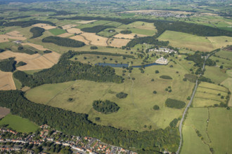 Raby Castle landscape park, county Durham, 2024. Creator: Robyn Andrews.