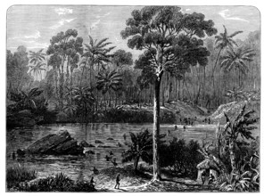 Ashantee Sketches: the River Prah and the Forest of Assin, 1873. Creator: Unknown.