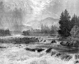 Passing Showers - Forest of Glentanner, Aberdeenshire, by E. A. Waterlow, 1873. Creator: Unknown.