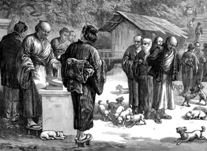 Sketches in Japan: feeding puppy-dogs at the Buddhist Temple of Oyama, 1873. Creator: Unknown.