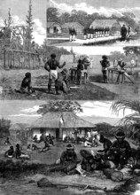 Sketches in the Isle of Pines, New Caledonia, 1873. Creator: Unknown.