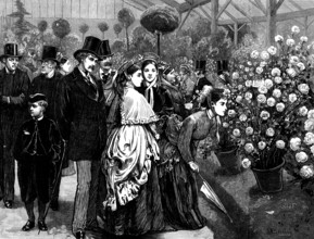 A rose show at the Horticultural Society's Gardens, South Kensington, 1873. Creator: Unknown.