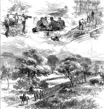 The Autumn Campaign on Cannock Chase, 1873. Creator: Unknown.