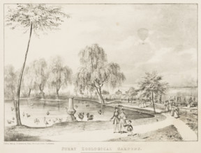 Surry Zoological Gardens, 1836. The Gardens were opened to rival London Zoo, as a way of displaying