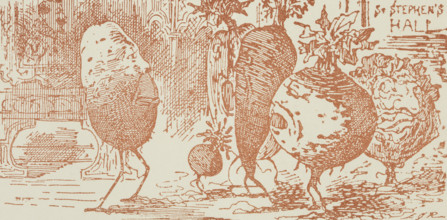 The Potato Tercentenary Exhibition and Conference at St Stephen's Hall, Westminster, London, 1886.