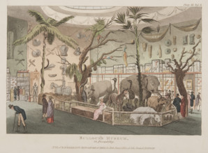 Bullock's Museum, 22 Piccadilly, c1815. British traveller, naturalist and antiquarian William