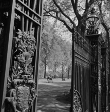 A view through one of the five pairs of elaborate cast iron gates at Queen's Gate, which leads into