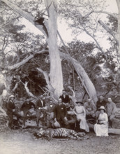 Lord and Lady Curzon and party posing with dead tiger, Nekonda, India, 1902.  George Nathaniel