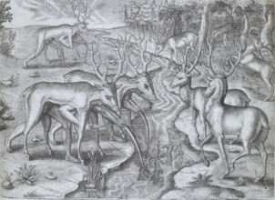 Indians using deer skins to hunt deer, 1591. Plate XXV from "America. Part II.- Latin" by Theodore