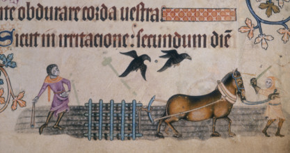 Two farm workers with a harrow, c1300-c1340. The man on the left uses a slingshot to chase away
